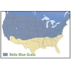 Bella™ Bluegrass Grass Plugs -Cheap Plant & Flowers Store bella blue grass map