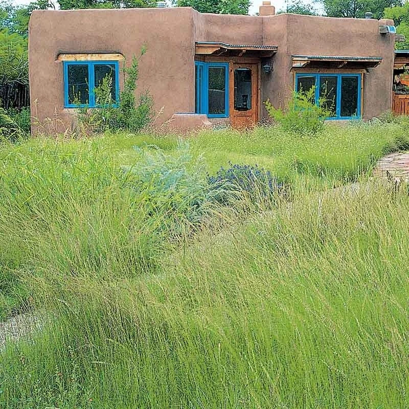 High Mountain Grass Seed Mix 4 High Mountain Grass Seed Mix - Image 2